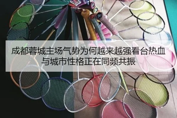成都蓉城主场气势为何越来越强看台热血与城市性格正在同频共振