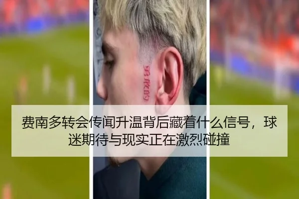 费南多转会传闻升温背后藏着什么信号，球迷期待与现实正在激烈碰撞
